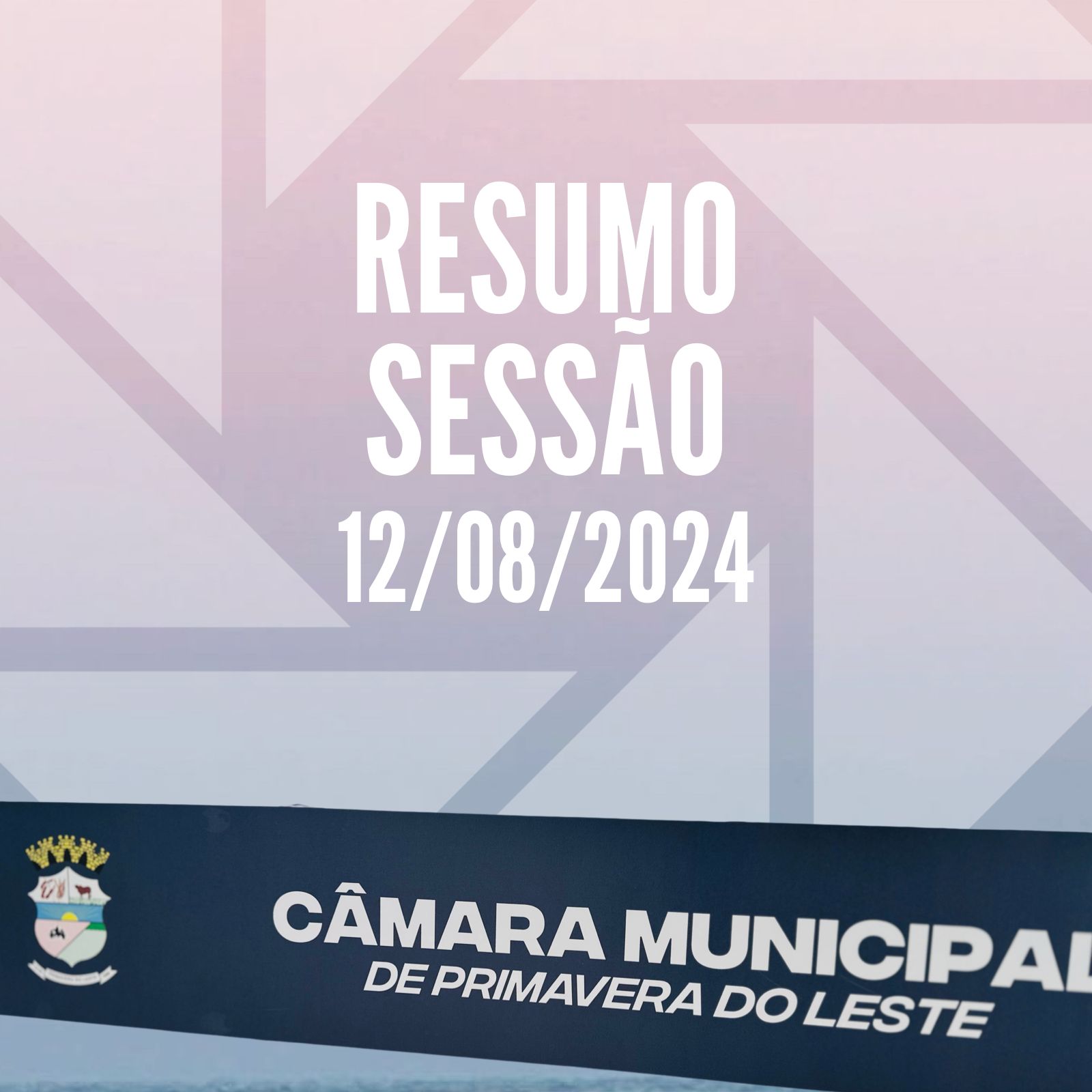 RESUMO SESSÃO 12/08